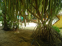 Pousada Kite cabana - Cumbuco