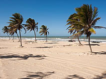 Nordeste Off Road - Cumbuco