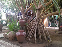 Pousada Kite cabana - Cumbuco